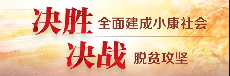 【航院党建】威廉希尔中国官网全体党员学习观看全国脱贫攻坚总结表彰大会实况