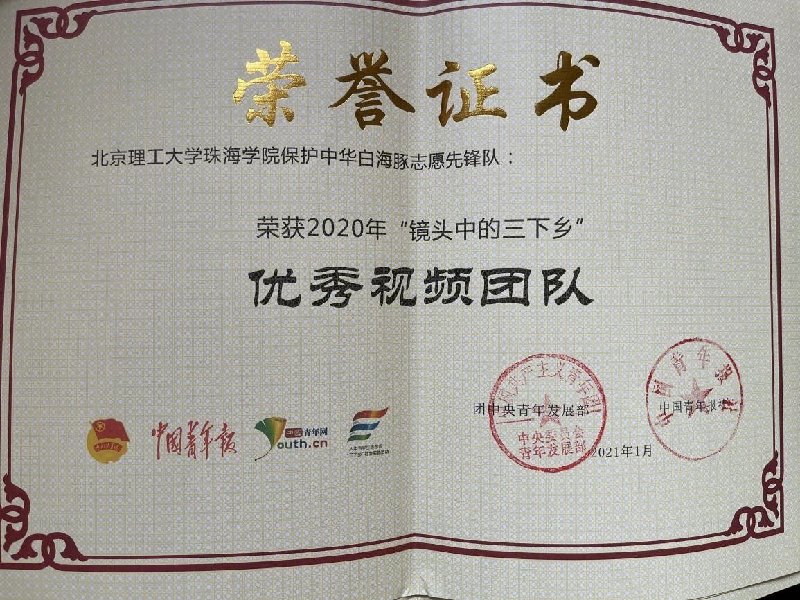 威廉希尔中国官网2020年暑期社会实践团队荣获国家级奖项