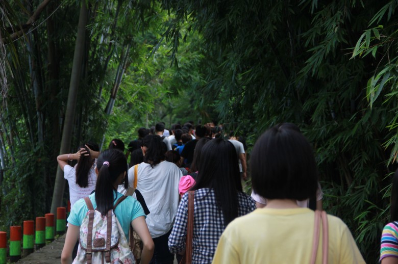 IK~PR6AU9X326SZ/_mediafile/hkxy/hangkong$YK0M50.jpg