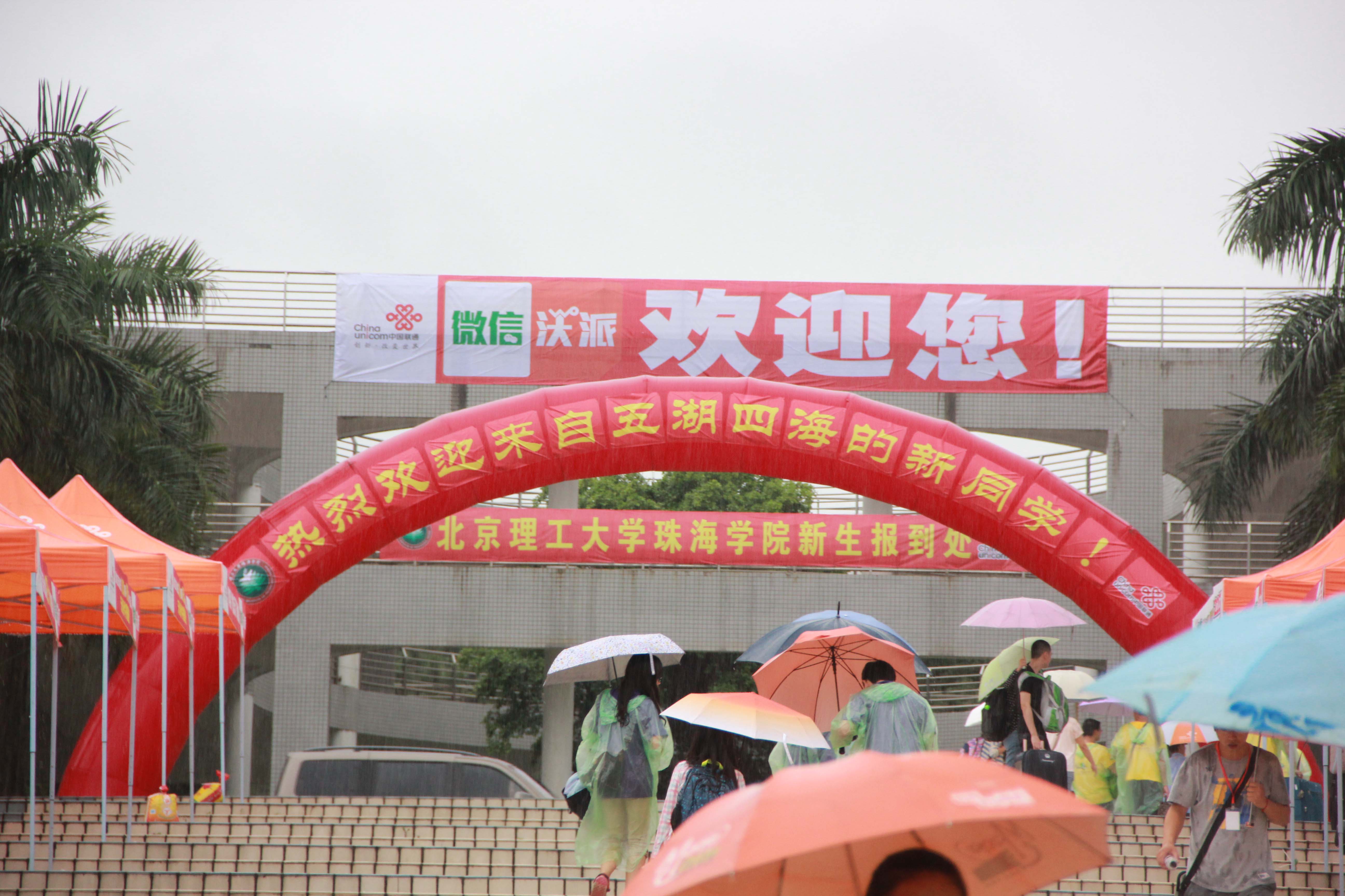 IMG_8948.jpg